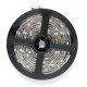 Avide LED Ταινία 24V 21.6W RGB+W(4000K) IP65 5m