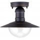 Avide Outdoor Ceiling Lamp Imperial 1xE27 IP44 Antique Gold