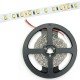 Avide LED Ταινία 24V 24W 3000K IP20 5m