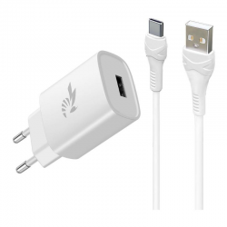BeePower Wall Charger - BC-1 2.4A USB + USB-C cable set white